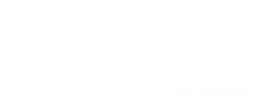Image module