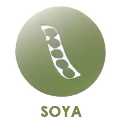 Soya